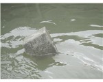 泡沫混凝土试块