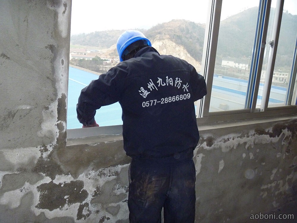 温岭精工外墙